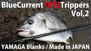 BlueCurrent 70TZ Nano Trippers