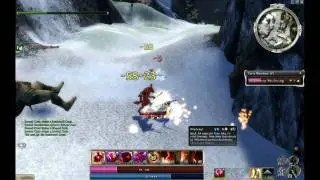 Guild Wars Assassin Easy Feather Farming