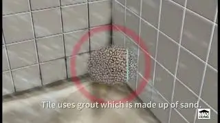 Pro Advice: Why does Mold Grow on Tile?
