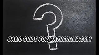 Basic Guide on Gatherling website