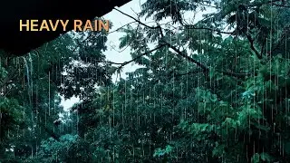 Thunder & Heavy Roof Rain for Sleeping | Deep Calm Night
