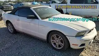 1ZVBP8EN9A5122641 - FORD ALL Models 2010