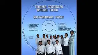 IINDABA ZOSINDISO EMNQAMLEZWENI