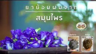 สมุนไพรย้อมผม : สมุนไพร D.I.Y [2020]