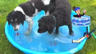 Make Draining a Breeze: 5-Minute Upgrade for Kiddie / Dog Pools