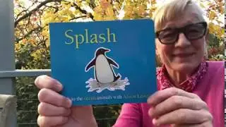 Splash