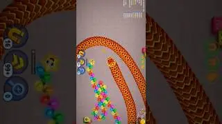 RED VIRAL SNAKE VS CHAMKILA SNAKE RUN #snake #wormszone #bigsnake #kingsnake #viralsnake #trending