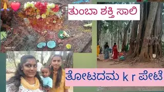 ಶಕ್ತಿ ಶಾಲಿ ತೋಟದಮ k r ಪೇಟೆ #short #shortviral 