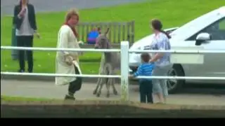 Fool Britannia - Village Idiot