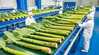 চীনের কোটি টাকার কলাগাছ ফ্যাক্টরি ! দেখুন কলাগাছ দিয়ে তারা কিভাবে... || টেক ইনসাইড