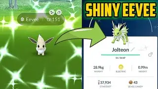Shiny Eevee community day - Pok&eacute;mon go 2021