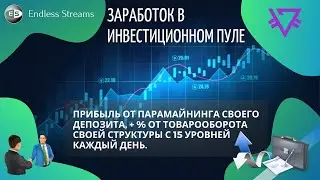 Заработок в инвестиционном пуле социальной сети ES