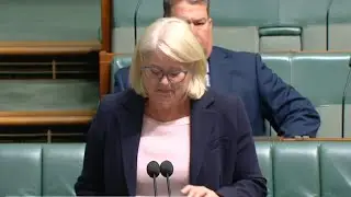 Karen Andrews breaks down in parliament during domestic violence debate