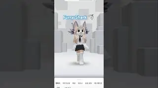 Furry Shark 🦈