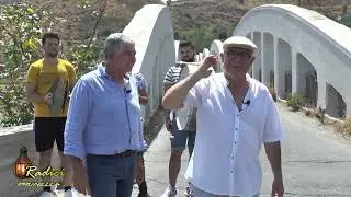 Radici a Prunella
