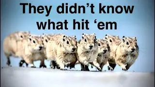 Foolish Little Lemmings fall prey to the Hughman&rsquo;s Terrible Tower!