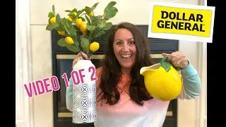 HIGH-END DOLLAR GENERAL HAUL! | UNBELIEVABLE FINDS ✨VIDEO 1 of 2