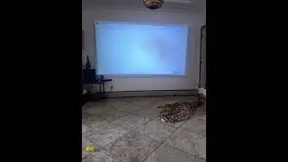 blitzwolf vp10 defeito