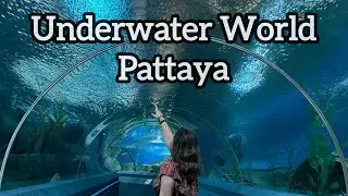 Underwater World, Pattaya | Must Visit Aquarium in Thailand 🇹🇭 | 