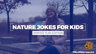 Nature jokes for kids: Winter pun edition