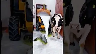 Marvelous Dancing Polish Cow funny cow dance Spiderman jcb tractor cow milk farm Anaconda Snake