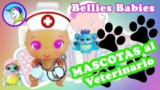 Los BELLIES BABIES 😍 llevan a sus 🐩 MASCOTAS al VETERINARIO 🐶