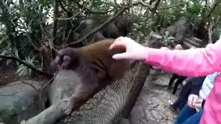 Randers Tropical Zoo