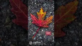 Photo Editing #fall #leaf #beforeandafter #comecheckthis #snapseededit