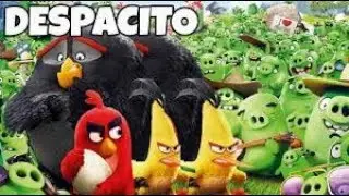 Despacito - Angry Birds Song | AMV | Cartoon Parody | Angry Birds On Despacito