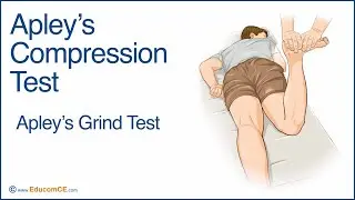 Apley&rsquo;s Compression Test