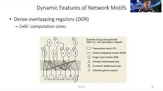 2020 STAT115 Lect15.4 Regulatory Network