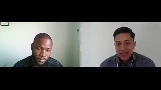 Website Design Pro Case Study With Wislin Elve