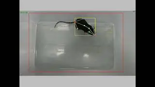 VisuHTR Software is a new automatic analysis system for hallucinogenic head shaking reactions
