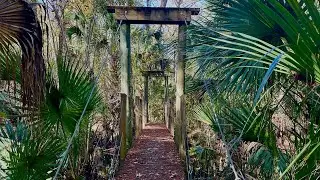 Hiking at Rice Creek on the Florida Trail