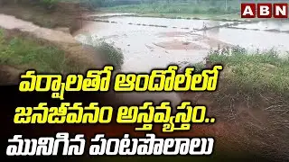 వర్షాలతో ఆందోల్&zwnj;లో జనజీవనం అస్తవ్యస్తం..మునిగిన పంటపొలాలు | Heavy Rains In Andole | ABN Telugu