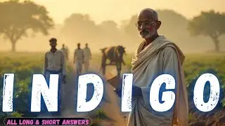INDIGO Class 12 | Full Chapter in ONE SHOT ✨ | All Long & Short Answers | 2025–26 Boards