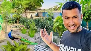 Hamara Zoo Jungle Ban Gaya😱