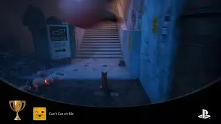 Stray PS5 Trophy Guide &ndash; Can&rsquo;t Cat-ch Me 🏆🐾 | Complete the First Zurk Pursuit Without Being Caught