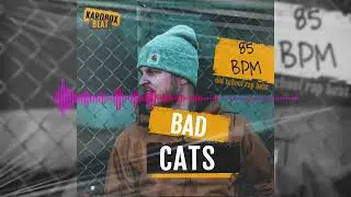 Karobox Beat - Bad Cats collab 4Classix ,Old School BoomBap