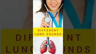 🔉DIFFERENT LUNG SOUNDS - NORMAL, CRACKLES  , WHEEZING, RONCHI, STRIDOR. @STEHOSCOPE_STORIES