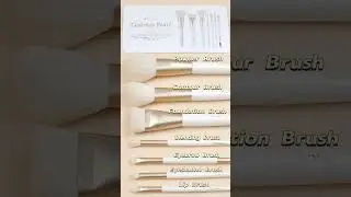Not all brushes are created equal👀 Brush Types Explained!7 Piece Platinum Makeup Brush Set with Bag~