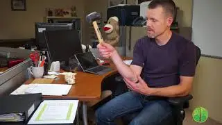 Kalona IA Chiropractor - Proper Desk Posture for Office Workers
