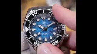 Could This Bold 44.5mm Diver Handle 200m Underwater AD2102?