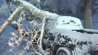 'Ridiculously Heavy': Spring Snow Breaks Branches, Causes Power Outages Friday Morning