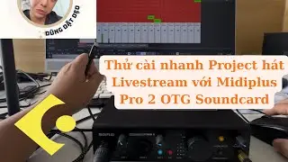 C&agrave;i Thử Project h&aacute;t Livestream tr&ecirc;n Cubase 13 với soundcard MidiPlus Pro 2 OTG 