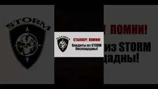 ТОТЕМЫ ИВЕНТИК  | stay out/stalker online | #stalkeronline #stayout #so #storm #pk #DM