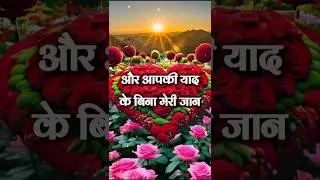 Love shayari video |  Good Morning Shayari | #lovesahayari #goodmorning #lovesahayarishortsfeed