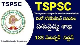 🔥ll ✅  l Tspsc Animal Husbandry department notification l 185  Veterinary Assistant Surgeon l Tspsc