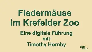 Fledermäuse im Krefelder Zoo