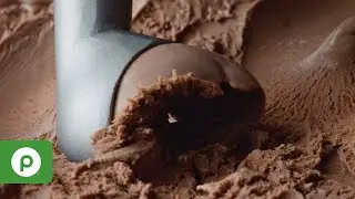 GreenWise Ice Cream Scoop from Publix